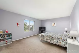905 Shelter Island Ln, Pingree Grove, IL 60140 - Photo 20