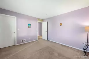 905 Shelter Island Ln, Pingree Grove, IL 60140 - Photo 24