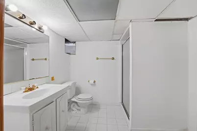 306 W Lonnquist Boulevard, Mount Prospect, IL 60056 - Photo 22