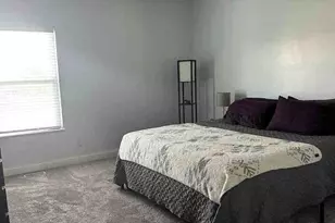709 Molly Ln, New Berlin, IL 62670 - Photo 12