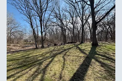 33993 N Treeline Court, Grayslake, IL 60030 - Photo 4
