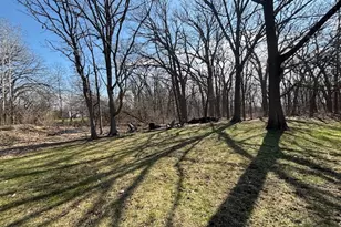 33993 N Treeline Ct, Grayslake, IL 60030 - Photo 4