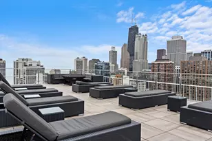 1255 N Sandburg Terrace, Chicago, IL 60610 - Photo 24