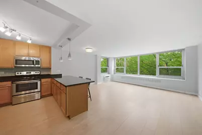 1255 N Sandburg Terrace #206, Chicago, IL 60610 - Photo 4