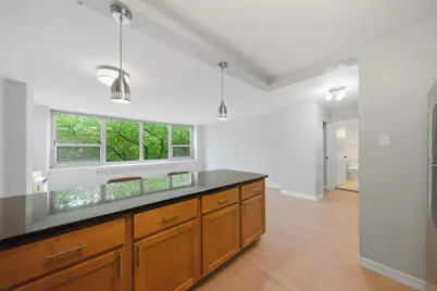 1255 N Sandburg Terrace #206, Chicago, IL 60610 - Photo 8