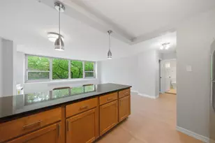 1255 N Sandburg Terrace, Chicago, IL 60610 - Photo 8
