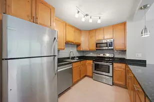 1255 N Sandburg Terrace, Chicago, IL 60610 - Photo 6