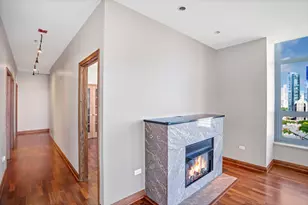 1600 S Prairie Ave, Chicago, IL 60616 - Photo 46