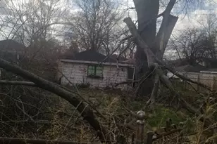 14228 S Stewart Ave, Riverdale, IL 60827 - Photo 6