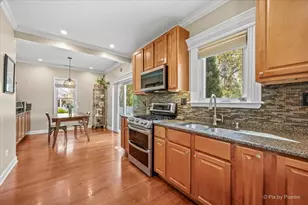 311 W North Ave, Bartlett, IL 60103 - Photo 12