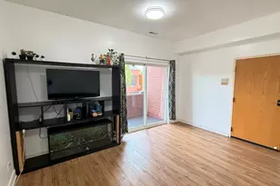 705 W 31st St, Chicago, IL 60616 - Photo 16