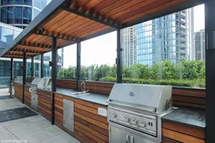 1211 S Prairie Ave, Chicago, IL 60605 - Photo 48