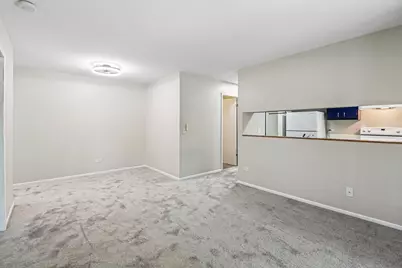 1319 N Winslowe Drive #203, Palatine, IL 60074 - Photo 4