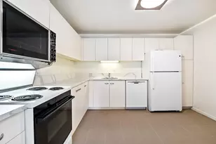 110 E Delaware Pl, Chicago, IL 60611 - Photo 6