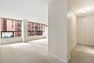 110 E Delaware Pl, Chicago, IL 60611 - Photo 10
