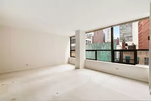 110 E Delaware Pl, Chicago, IL 60611 - Photo 12