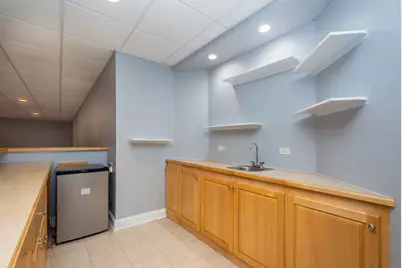 10303 Fox Bluff Lane, Spring Grove, IL 60081 - Photo 26