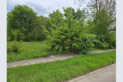 338 S Desplaines Street, Joliet, IL 60436 - Photo 8