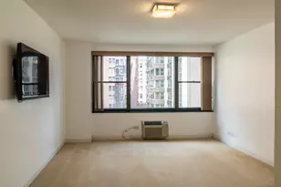 850 N Dewitt Pl, Chicago, IL 60611 - Photo 14