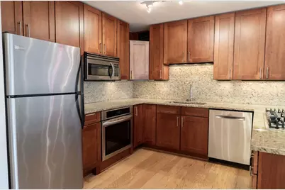 850 N Dewitt Place #10G, Chicago, IL 60611 - Photo 4