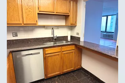 155 N Harbor Drive #3007, Chicago, IL 60601 - Photo 6