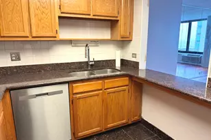 155 N Harbor Dr, Chicago, IL 60601 - Photo 6