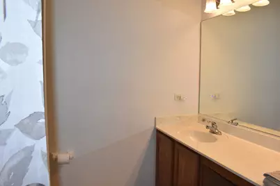 908 Angelica Circle, Joliet, IL 60431 - Photo 20