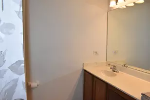 908 Angelica Cir, Joliet, IL 60431 - Photo 20