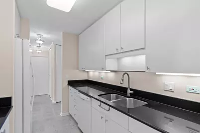 111 E Chestnut Street #31J, Chicago, IL 60611 - Photo 14