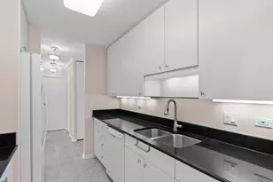 111 E Chestnut St, Chicago, IL 60611 - Photo 14