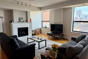 910 S Michigan Ave, Chicago, IL 60605 - Photo 4