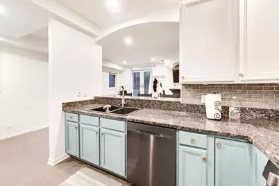 924 W Wolfram Street #1, Chicago, IL 60657 - Photo 6