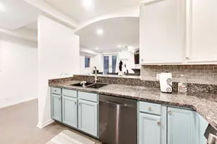 924 W Wolfram St, Chicago, IL 60657 - Photo 6