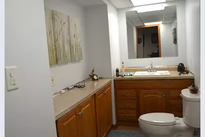 322 Bodega Drive, Romeoville, IL 60446 - Photo 36