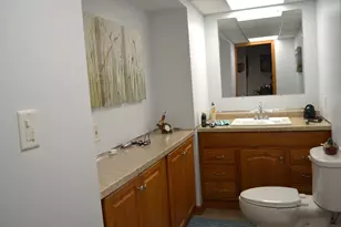 322 Bodega Dr, Romeoville, IL 60446 - Photo 36