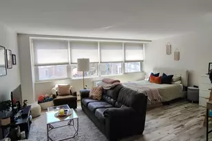 1150 N Lake Shore Dr, Chicago, IL 60611 - Photo 4