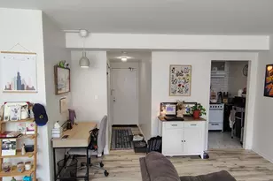 1150 N Lake Shore Dr, Chicago, IL 60611 - Photo 2