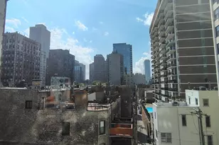 1150 N Lake Shore Dr, Chicago, IL 60611 - Photo 10