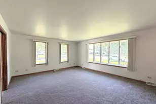 901 Lark St, Peotone, IL 60468 - Photo 10