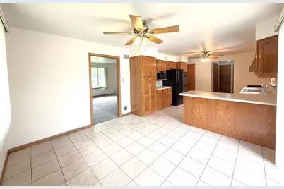 901 Lark Street, Peotone, IL 60468 - Photo 16