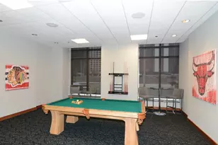 420 E Waterside Dr, Chicago, IL 60601 - Photo 18