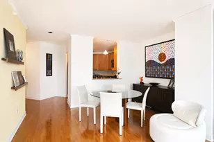 420 E Waterside Dr, Chicago, IL 60601 - Photo 4