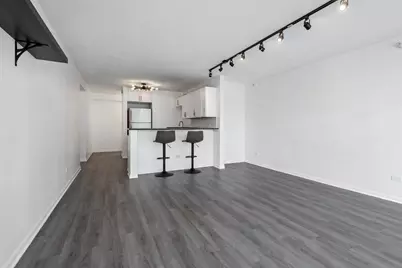 2 E Erie Street #3014, Chicago, IL 60611 - Photo 16
