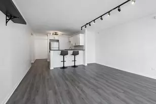 2 E Erie St, Chicago, IL 60611 - Photo 16