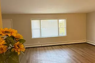 1119 E Algonquin Rd, Arlington Heights, IL 60005 - Photo 26