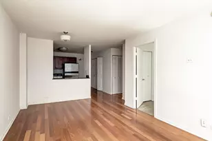 222 E Pearson St, Chicago, IL 60611 - Photo 20