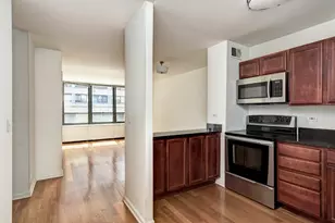 222 E Pearson St, Chicago, IL 60611 - Photo 2
