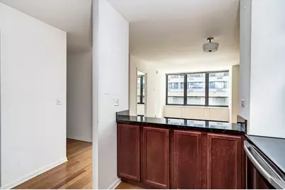 222 E Pearson Street #203, Chicago, IL 60611 - Photo 10