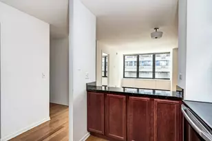 222 E Pearson St, Chicago, IL 60611 - Photo 10