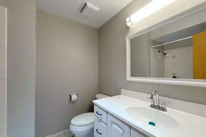 914 S Robert Drive, Mount Prospect, IL 60056 - Photo 34